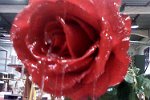 Rose plastique recouverte de silicone crystal